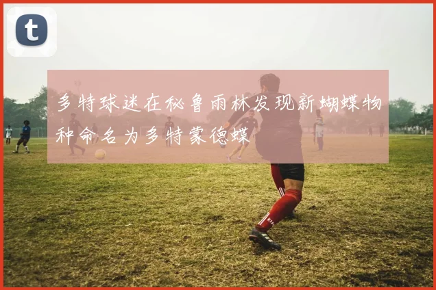 多特球迷在秘鲁雨林发现新蝴蝶物种命名为多特蒙德蝶